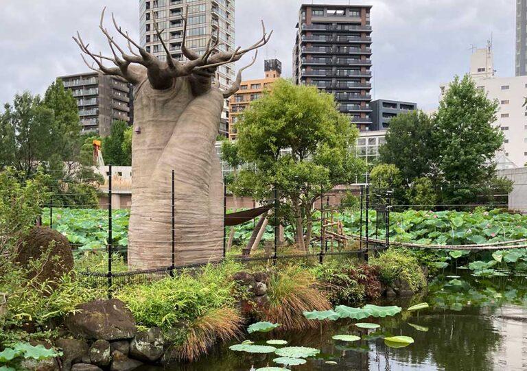 【上野動物園】回り方|お子さま連れで効率が良い回り方2024年改訂版 | 東京下町お出かけブログ