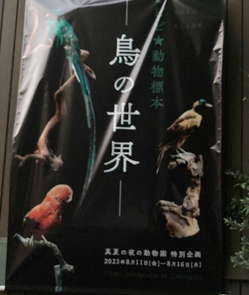 【上野動物園】ナイトズー!夜の動物園2023|夜の魅力を満喫しよう! | 東京下町お出かけブログ
