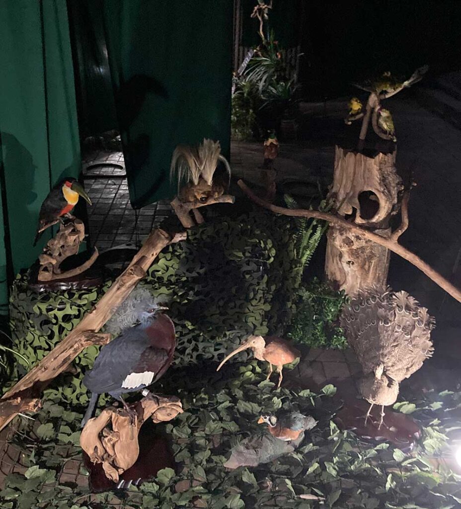 【上野動物園】ナイトズー!夜の動物園2023|夜の魅力を満喫しよう! | 東京下町お出かけブログ