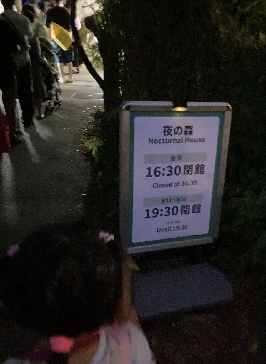 【上野動物園】ナイトズー2024年|夜の動物園の楽しみ方とイベント情報 | 東京下町お出かけブログ