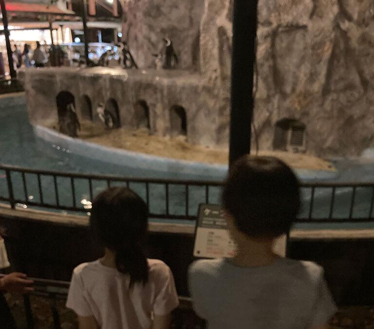 【上野動物園】ナイトズー!夜の動物園2023|夜の魅力を満喫しよう! | 東京下町お出かけブログ