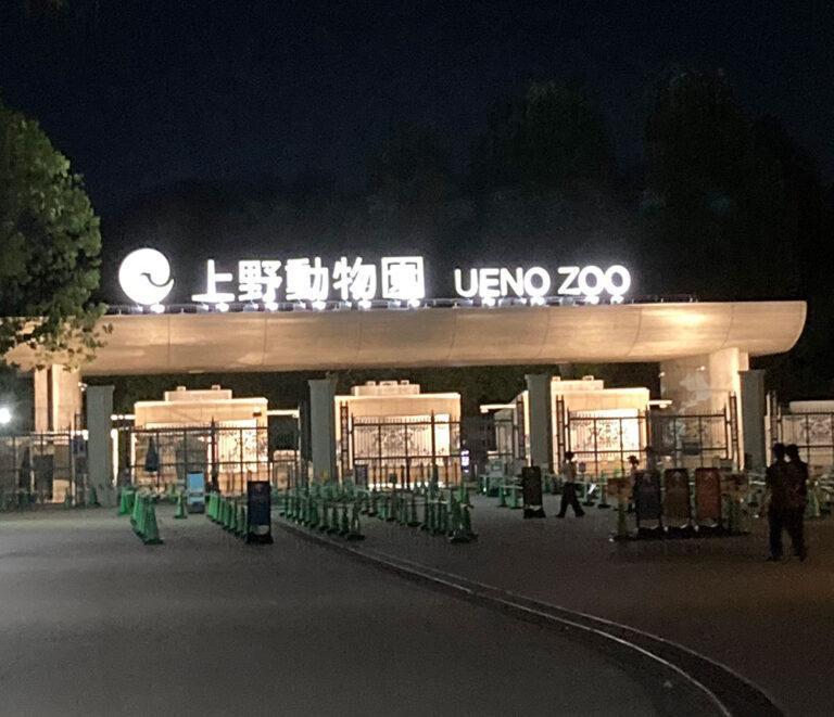 【上野動物園】ナイトズー2024年|夜の動物園の楽しみ方とイベント情報 | 東京下町お出かけブログ