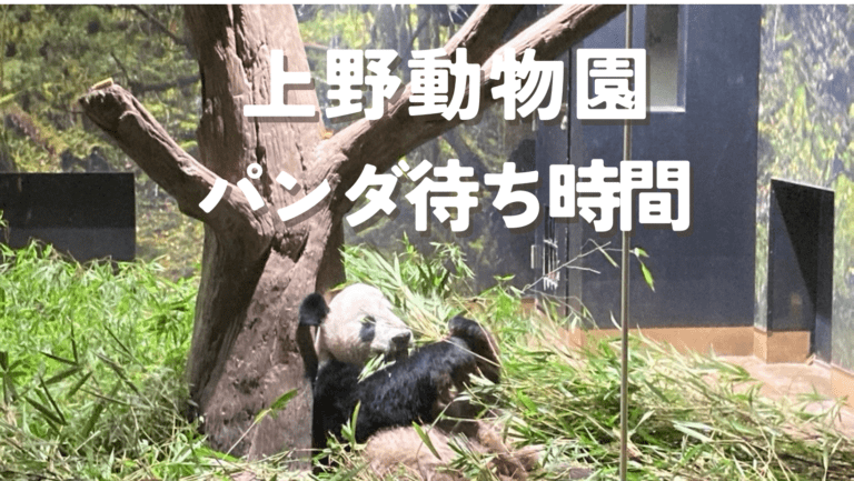 【上野動物園】パンダの待ち時間|混雑状況と知って得する回避術!(随時更新)追記2026年 | 東京下町お出かけブログ