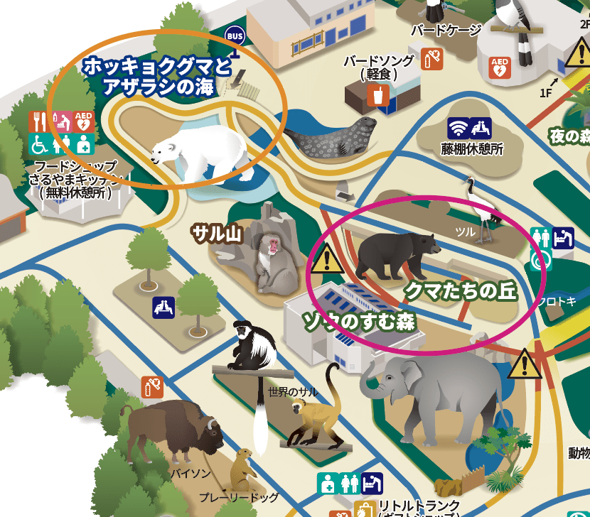 上野動物園クマたちの丘の案内図