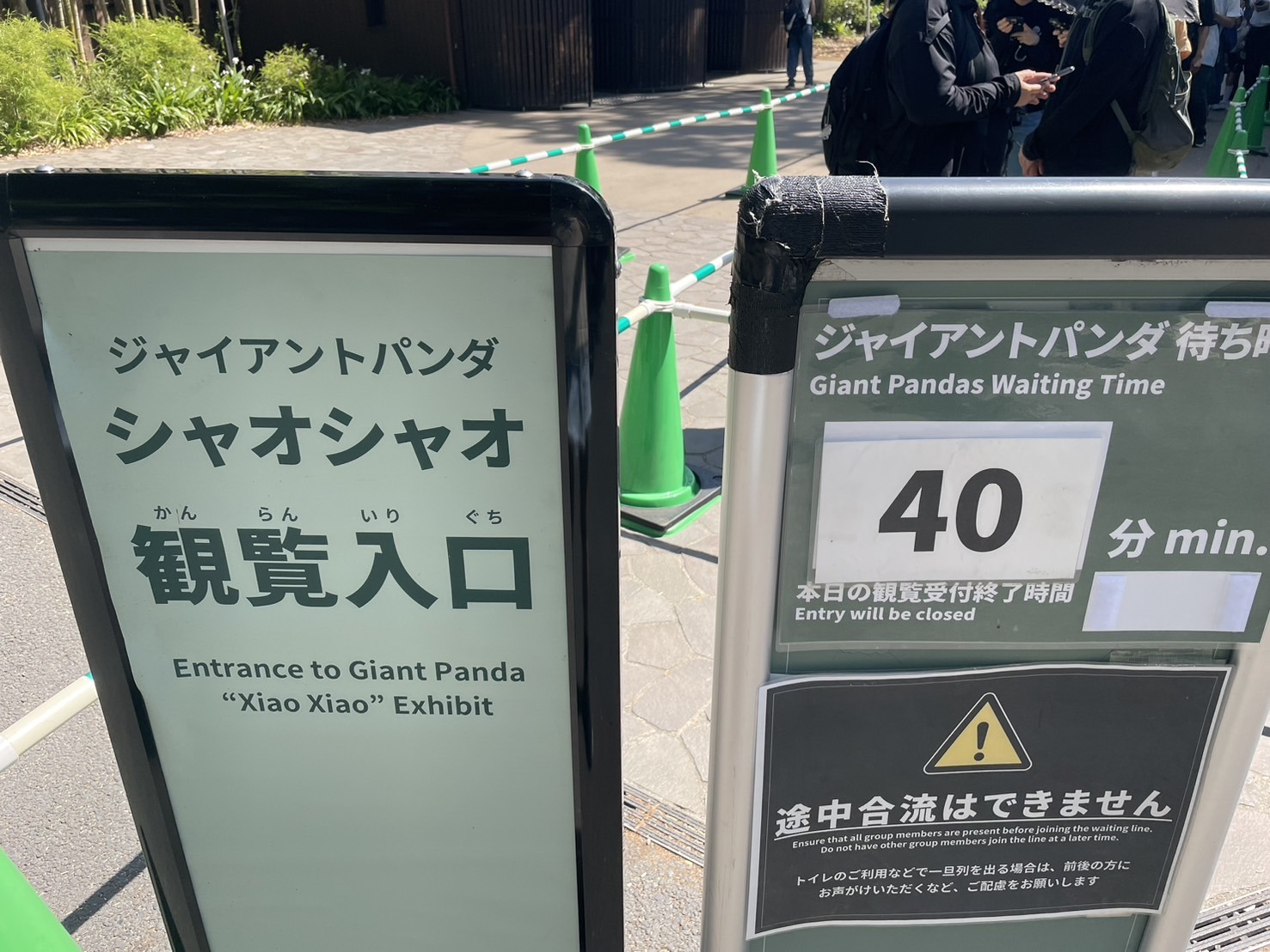 【上野動物園】パンダの待ち時間|混雑状況と知って得する回避術!(随時更新)追記2026年 | 東京下町お出かけブログ