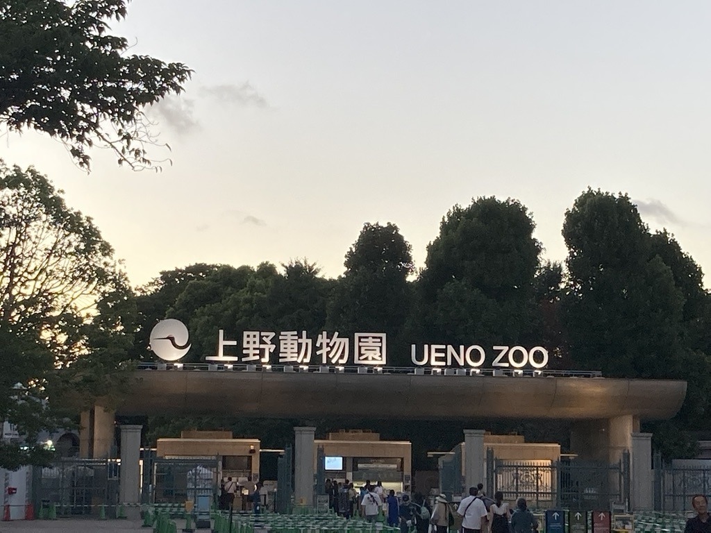 上野動物園の夏季限定イベント「真夏の夜の動物園」