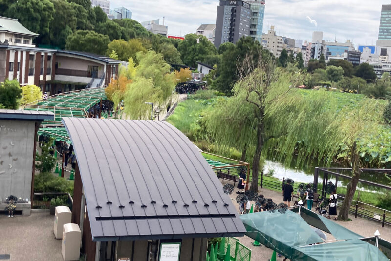 9月21日10時30分のパンダの渋滞