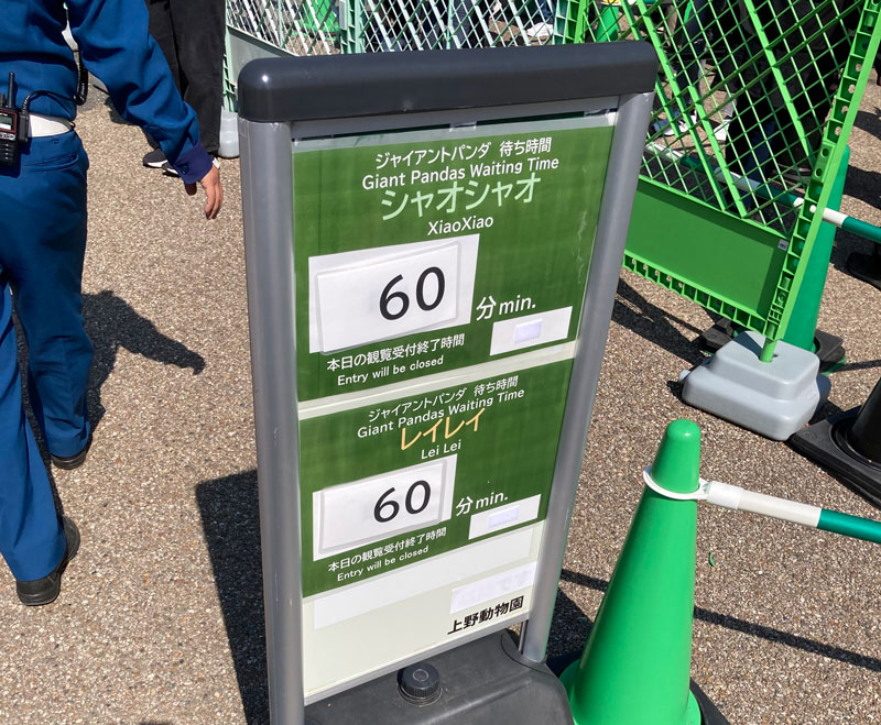 2025年パンダ待ち時間001